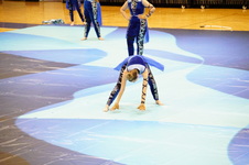 Enlarge photo 525