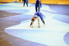 Enlarge photo 526