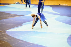 Enlarge photo 528