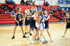 Enlarge photo 179