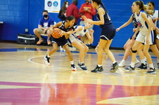 Enlarge photo 234