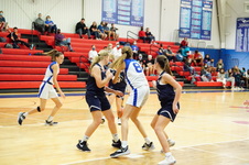 Enlarge photo 469