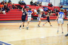 Enlarge photo 483