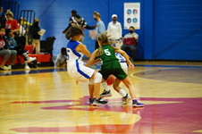 Enlarge photo 47