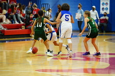 Enlarge photo 51