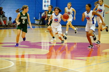 Enlarge photo 305