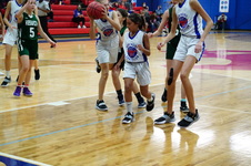Enlarge photo 335
