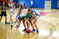 Enlarge photo 339