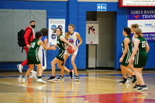 Enlarge photo 355