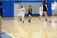 Enlarge photo 113