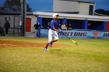 Enlarge photo 103