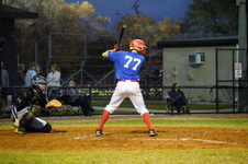 Enlarge photo 131