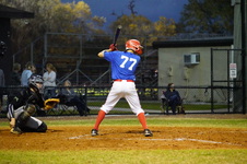Enlarge photo 133