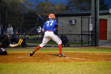 Enlarge photo 135