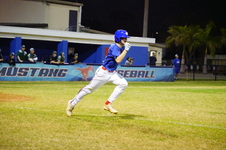 Enlarge photo 216