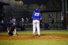 Enlarge photo 229
