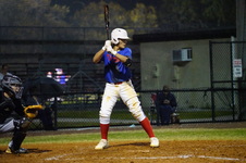 Enlarge photo 252