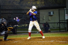 Enlarge photo 254