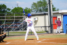 Enlarge photo 99