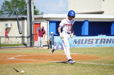 Enlarge photo 111