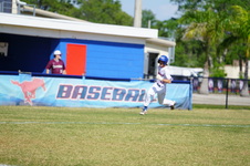 Enlarge photo 151