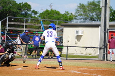 Enlarge photo 249