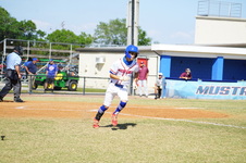 Enlarge photo 274