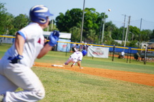 Enlarge photo 297