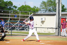 Enlarge photo 309