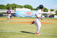 Enlarge photo 331