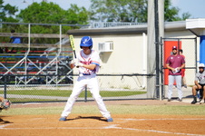 Enlarge photo 344