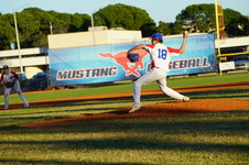 Enlarge photo 236