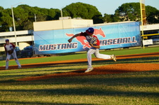 Enlarge photo 237