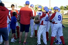Enlarge photo 245
