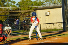 Enlarge photo 263