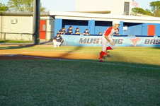 Enlarge photo 308