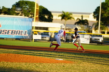 Enlarge photo 367