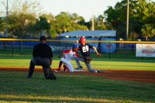 Enlarge photo 445
