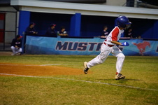 Enlarge photo 874