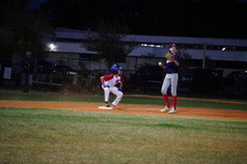 Enlarge photo 966