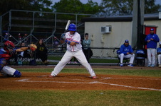 Enlarge photo 281
