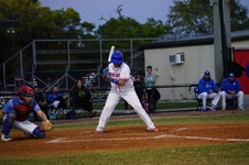 Enlarge photo 306