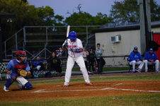 Enlarge photo 307