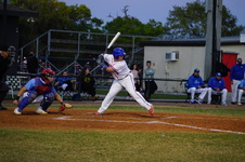 Enlarge photo 309