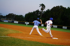 Enlarge photo 321