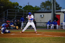 Enlarge photo 343