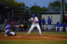 Enlarge photo 352