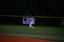 Enlarge photo 381