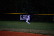Enlarge photo 383