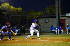 Enlarge photo 426